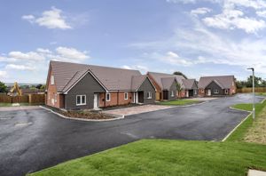 Photo 21- click for photo gallery